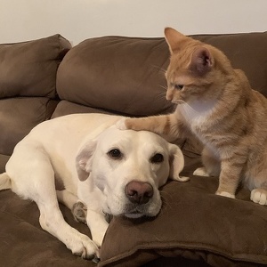 Fundraising Page: Stacy Outwater